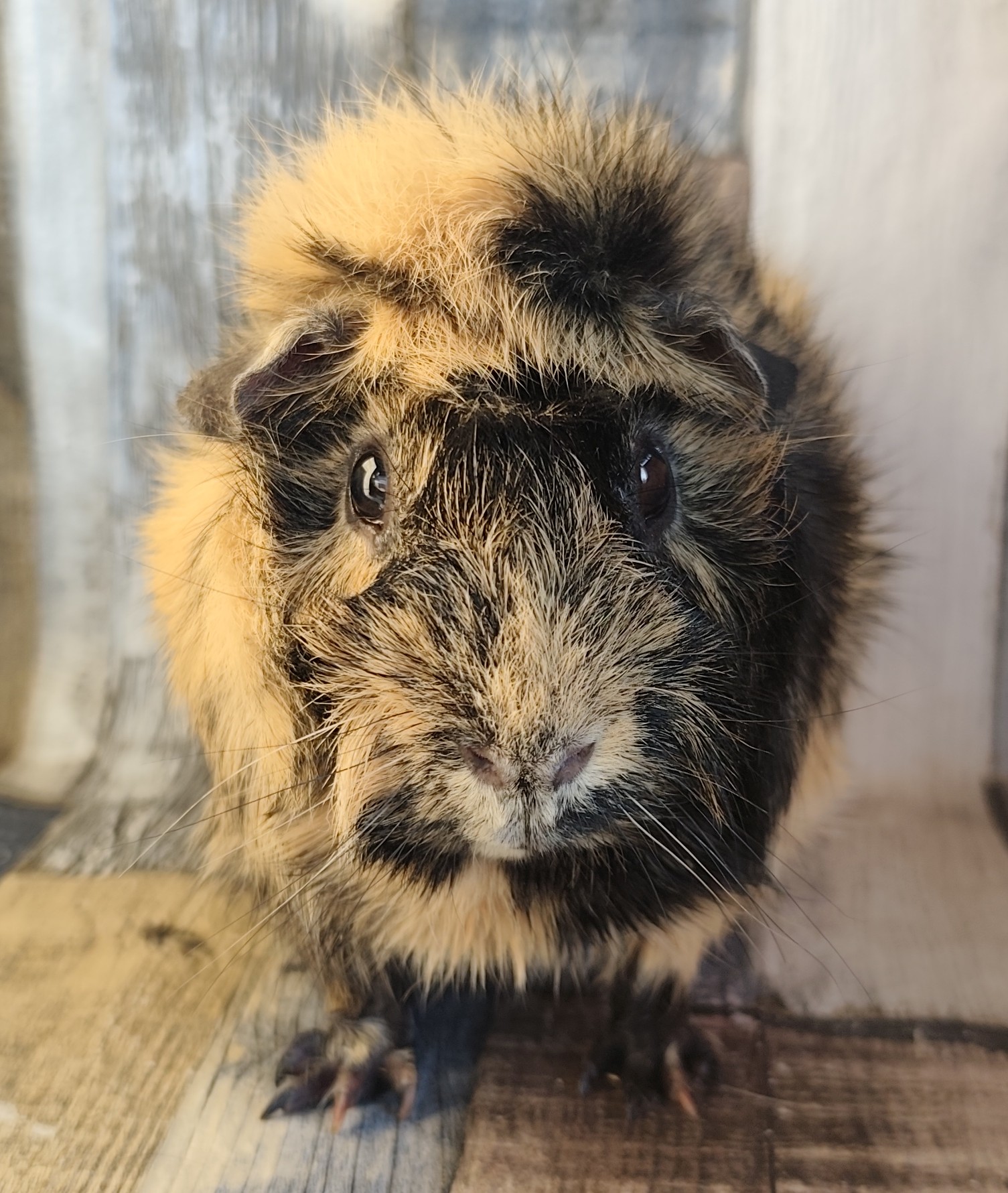 Marbon von der Zappelkiste